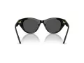 Swarovski Sonnenbrille SK 6025 100187