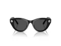 Swarovski Sonnenbrille SK 6025 100187