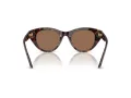 Swarovski Sonnenbrille SK 6025 100273