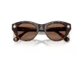 Swarovski Sonnenbrille SK 6025 100273