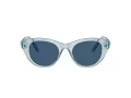 Swarovski Sonnenbrille SK 6025 106555