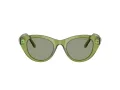 Swarovski Sonnenbrille SK 6025 3002/2
