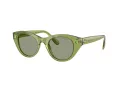Swarovski Sonnenbrille SK 6025 3002/2
