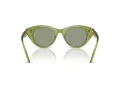 Swarovski Sonnenbrille SK 6025 3002/2