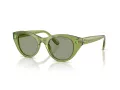 Swarovski Sonnenbrille SK 6025 3002/2