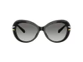 Swarovski Sonnenbrille SK 6026 100111
