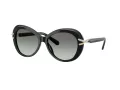 Swarovski Sonnenbrille SK 6026 100111
