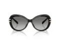 Swarovski Sonnenbrille SK 6026 100111