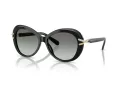 Swarovski Sonnenbrille SK 6026 100111