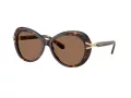 Swarovski Sonnenbrille SK 6026 100273