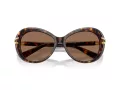 Swarovski Sonnenbrille SK 6026 100273