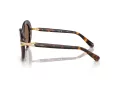Swarovski Sonnenbrille SK 6026 100273
