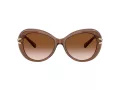 Swarovski Sonnenbrille SK 6026 106713