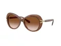 Swarovski Sonnenbrille SK 6026 106713