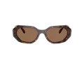 Swarovski Sonnenbrille SK 6028 100273