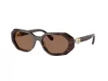 Swarovski Sonnenbrille SK 6028 100273