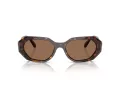 Swarovski Sonnenbrille SK 6028 100273