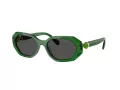 Swarovski Sonnenbrille SK 6028 106487