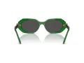 Swarovski Sonnenbrille SK 6028 106487