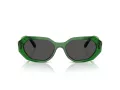 Swarovski Sonnenbrille SK 6028 106487