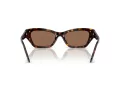 Swarovski Sonnenbrille SK 6029 100273