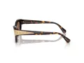 Swarovski Sonnenbrille SK 6029 100273