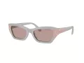 Swarovski Sonnenbrille SK 6029 10317N