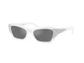 Swarovski Sonnenbrille SK 6029 10506G