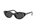 Swarovski Sonnenbrille SK 6030 100187