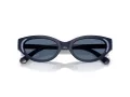 Swarovski Sonnenbrille SK 6030 100455