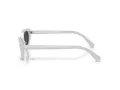 Swarovski Sonnenbrille SK 6030 106087