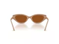 Swarovski Sonnenbrille SK 6030 106173