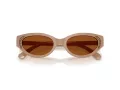 Swarovski Sonnenbrille SK 6030 106173