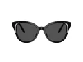Swarovski Sonnenbrille SK 6031 100187