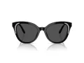 Swarovski Sonnenbrille SK 6031 100187