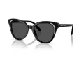 Swarovski Sonnenbrille SK 6031 100187