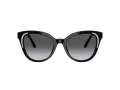 Swarovski Sonnenbrille SK 6031 1001T3