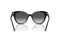 Swarovski Sonnenbrille SK 6031 1001T3