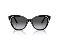 Swarovski Sonnenbrille SK 6031 1001T3