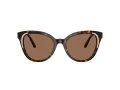 Swarovski Sonnenbrille SK 6031 100273