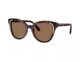 Swarovski Sonnenbrille SK 6031 100273