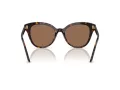 Swarovski Sonnenbrille SK 6031 100273