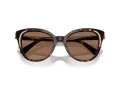 Swarovski Sonnenbrille SK 6031 100273
