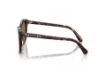 Swarovski Sonnenbrille SK 6031 100273