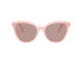 Swarovski Sonnenbrille SK 6031 10317N