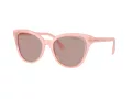 Swarovski Sonnenbrille SK 6031 10317N
