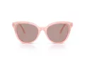 Swarovski Sonnenbrille SK 6031 10317N