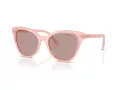 Swarovski Sonnenbrille SK 6031 10317N