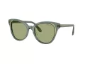 Swarovski Sonnenbrille SK 6031 104382