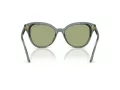 Swarovski Sonnenbrille SK 6031 104382